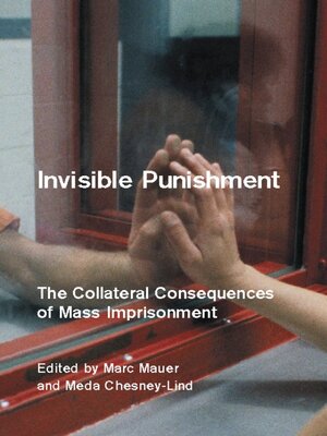 cover image of Invisible Punishment